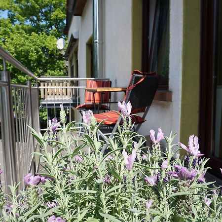 Ferienwohnung Familie Kirsten Piesport Bagian luar foto